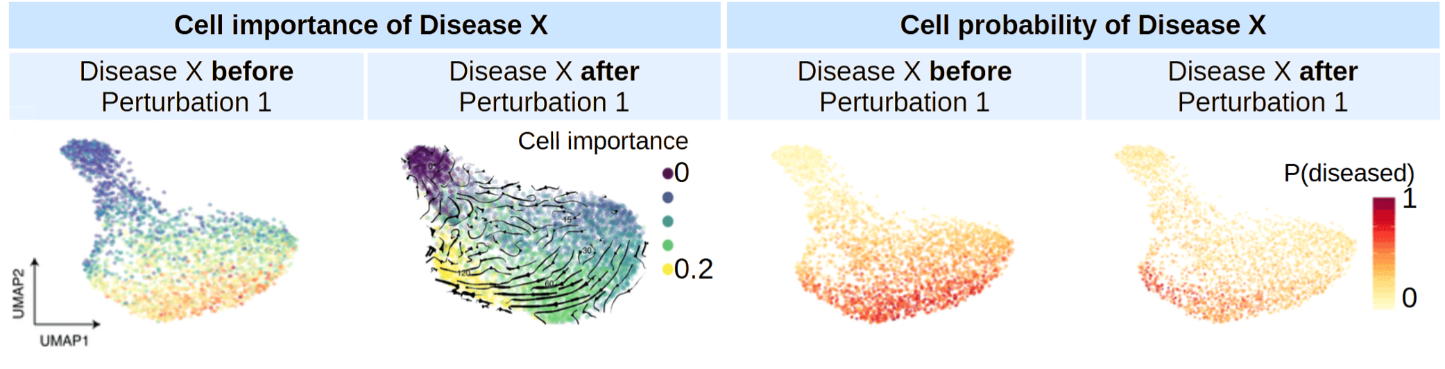 How TRAILBLAZER Sees the Immune System - Image 1